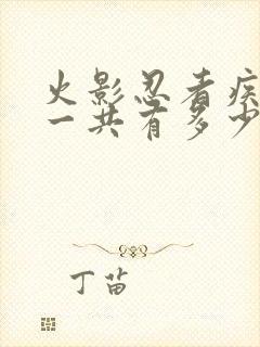 火影忍者疾风传一共有多少集