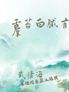 舌苔白腻有齿痕厚