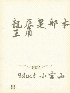 龙辰是哪本小说主角