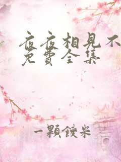 夜夜相见不识君免费全集