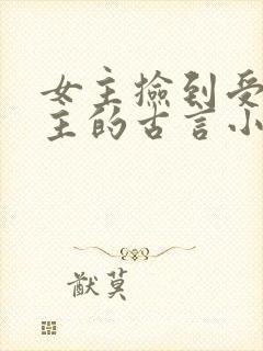 女主捡到受伤男主的古言小说推荐