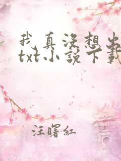 我真没想出名啊txt小说下载