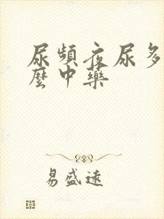 尿频夜尿多吃什么中药