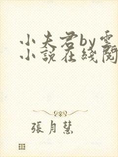 小夫君by云间小说在线阅读全文