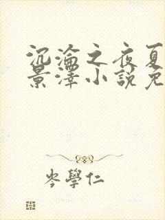 沉沦之夜夏婉陈景泽小说免费读