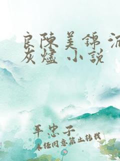 良陈美锦 沉香灰烬 小说