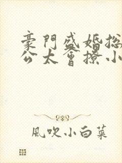 豪门盛婚总裁老公太会撩小说