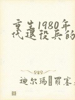 重生1980年代退役兵的小说