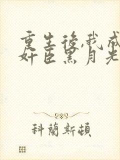 重生后,我成了奸臣黑月光txt