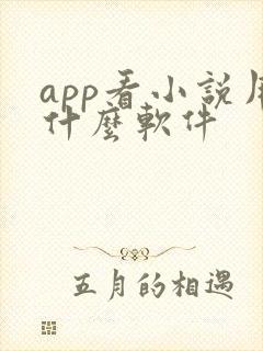 app看小说用什么软件