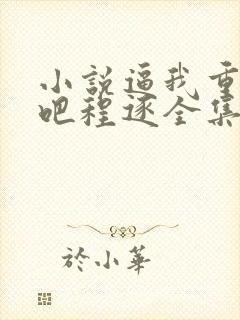 小说逼我重生是吧程逐全集免费下载