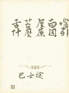 舌苔厚白嘴苦是什么原因引起的怎么解决