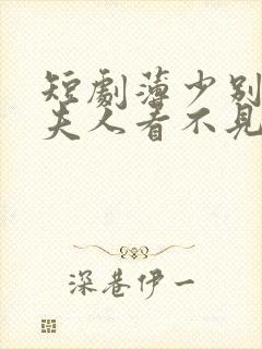 短剧薄少别演了夫人看不见