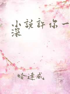 小说许你一世情深