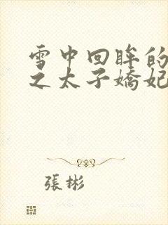 雪中回眸的清穿之太子娇妃