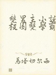 双男主小说推文校园双学霸