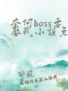 奈何boss要娶我小说免费