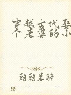 穿越古代娶了三个老婆的小说