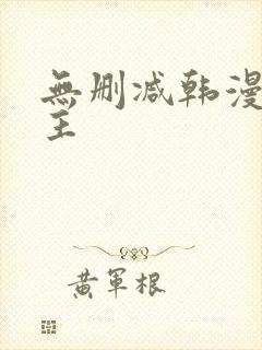 无删减韩漫双男主