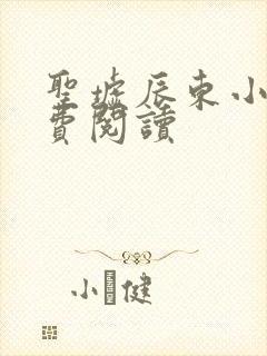 圣墟辰东小说免费阅读