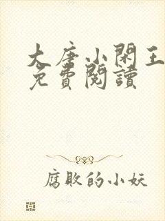 大唐小闲王小说免费阅读