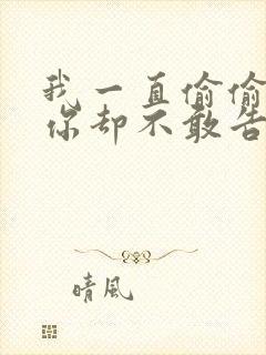 我一直偷偷爱着你却不敢告诉你