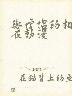 与僧侣的相合之夜动漫