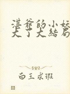 湛爷的小妖精长大了大结局