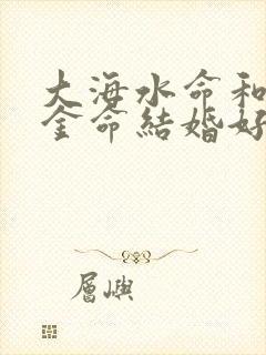 大海水命和水中金命结婚好吗