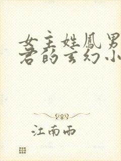 女主姓凤男主姓君的玄幻小说