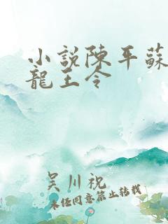小说陈平苏雨琪龙王令