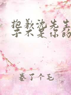 抱歉沈先生,孩子不是你的观看结局