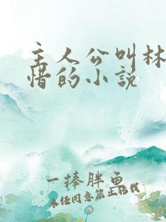 主人公叫林凡叶惜的小说