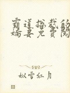 霸道总裁的独宠娇妻免费阅读全文