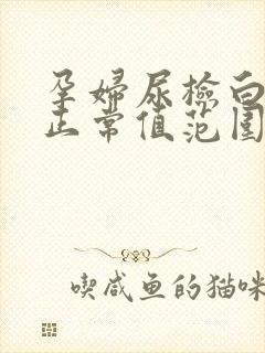 孕妇尿检白细胞正常值范围