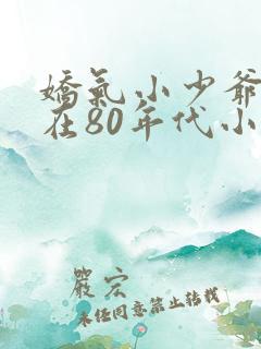 娇气小少爷重生在80年代小说