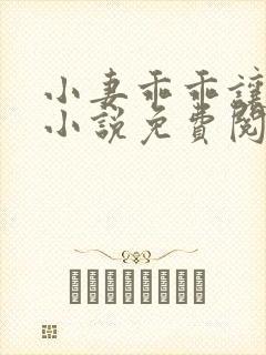 小妻乖乖让我宠小说免费阅读