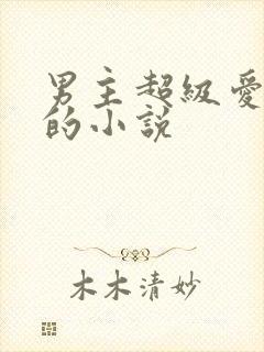 男主超级爱女主的小说