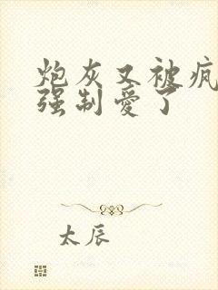 炮灰又被疯批 强制爱了