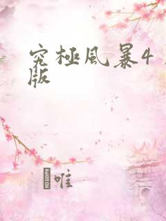 究极风暴4 正版