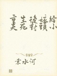 重生后嫁给了前夫死对头小说在线看