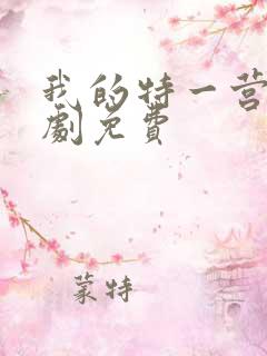 我的特一营电视剧免费