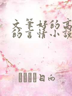 文笔好的高质量的言情小说推荐