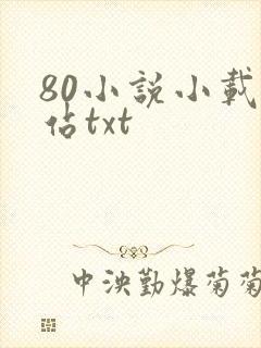 80小说小载网站txt