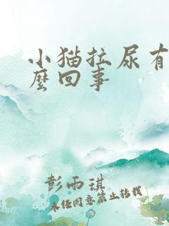 小猫拉尿有血怎么回事