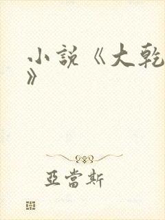 小说《大乾憨婿》