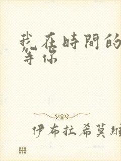 我在时间的尽头等你