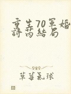 重生70军婚秦诗芮结局