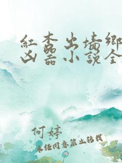 红杏出墙乡村大凶器小说全集小说