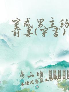 穿成男主的炮灰前妻(穿书)